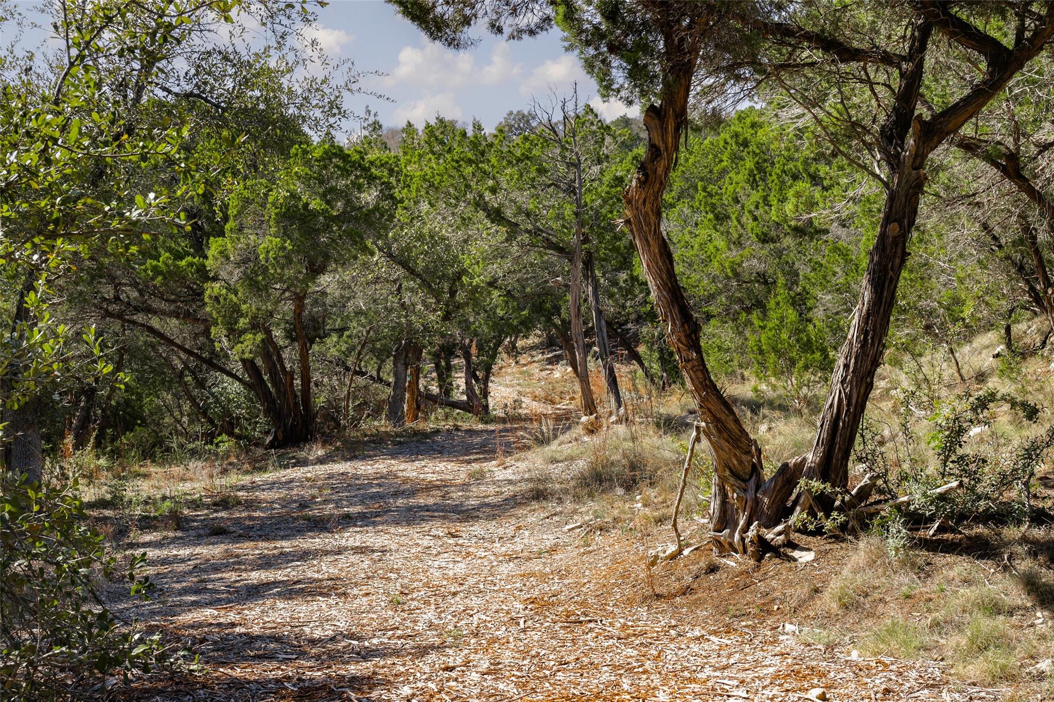 201 Buckeye Trl, West Lake Hills, TX 78746