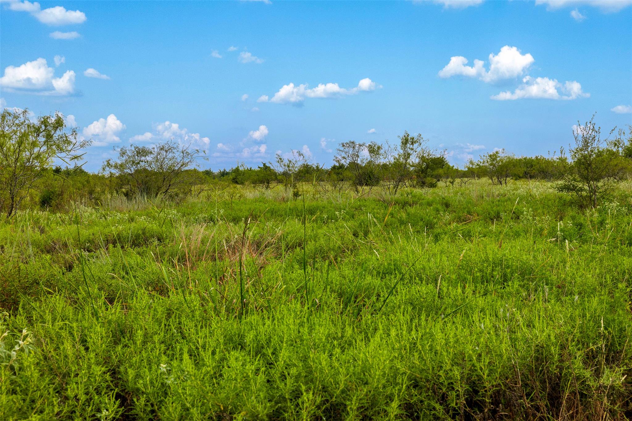 Tract 2 TBD LCR 392, Groesbeck, TX 76642