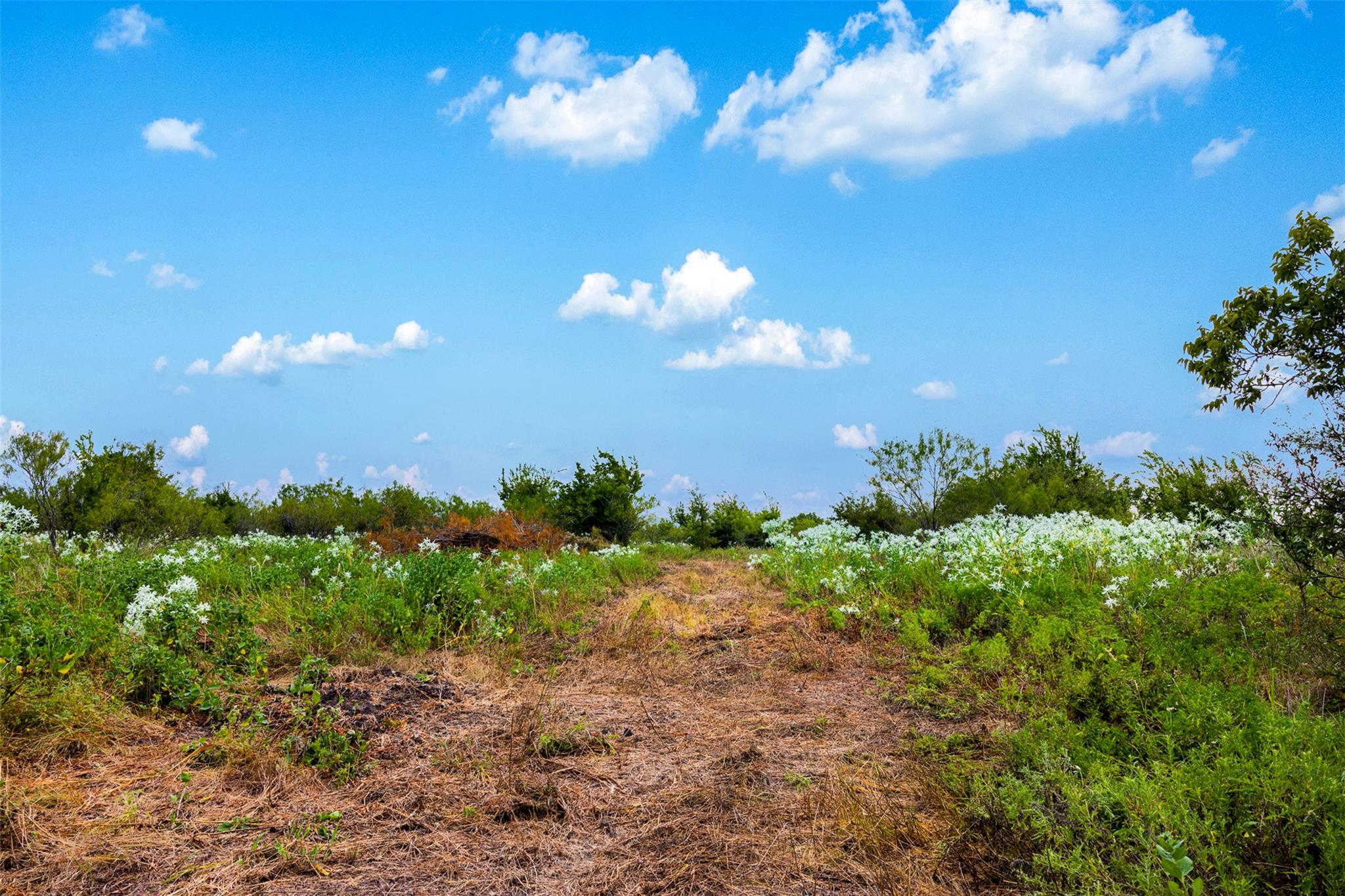 Tract 2 TBD LCR 392, Groesbeck, TX 76642