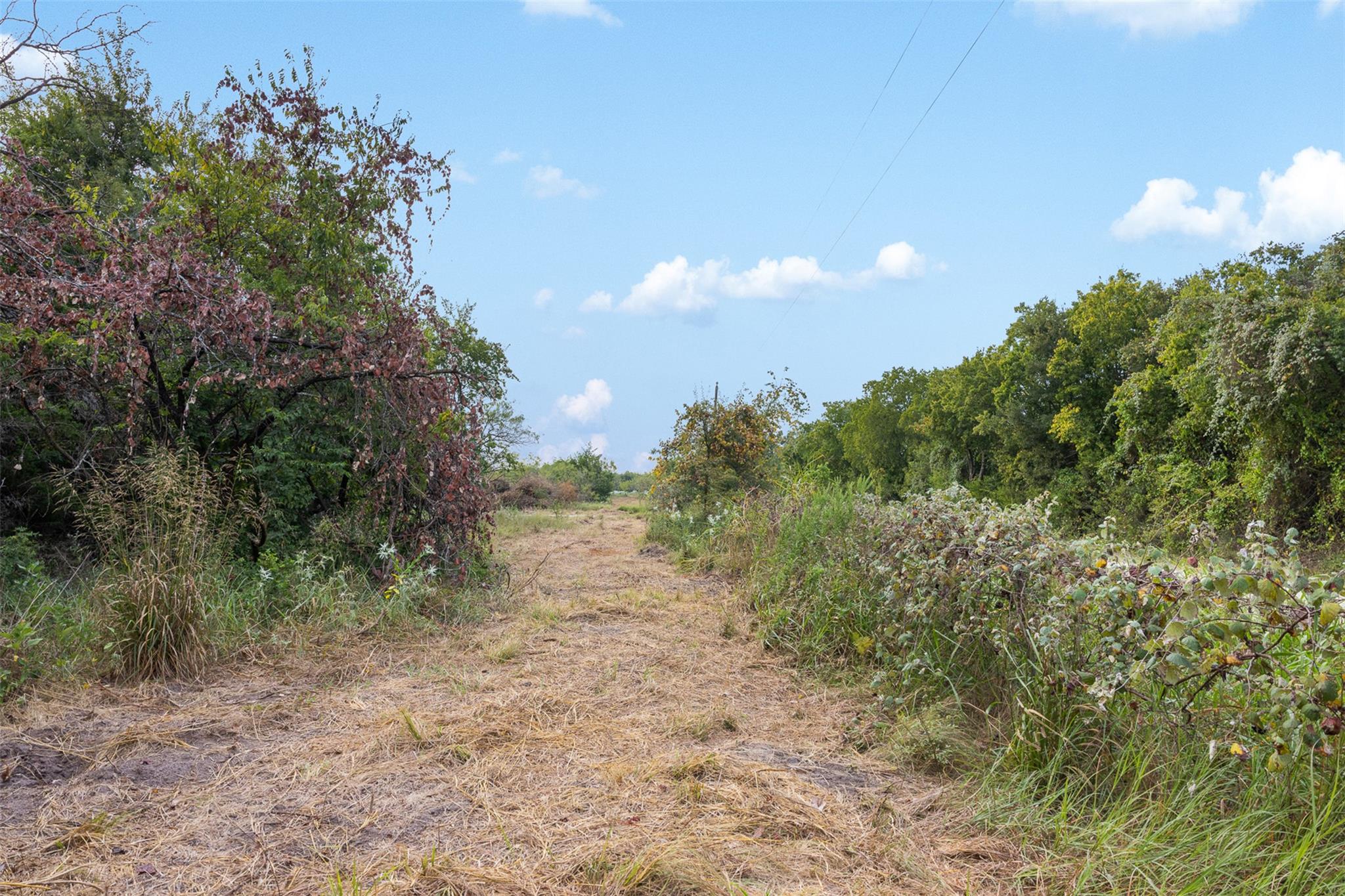 Tract 2 TBD LCR 392, Groesbeck, TX 76642