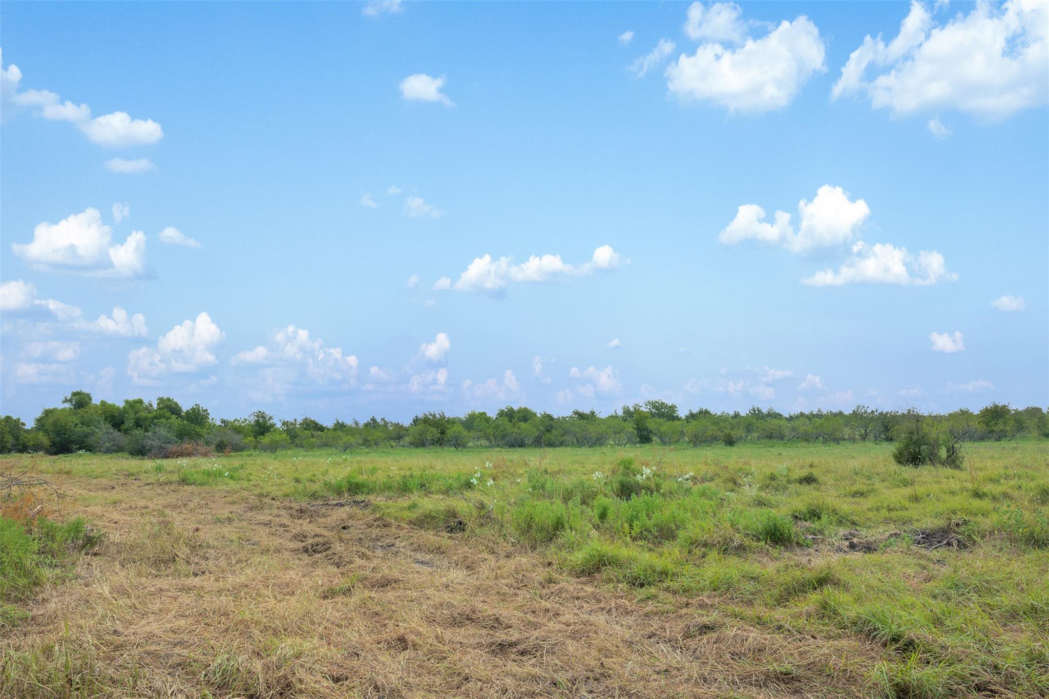 Tract 2 TBD LCR 392, Groesbeck, TX 76642