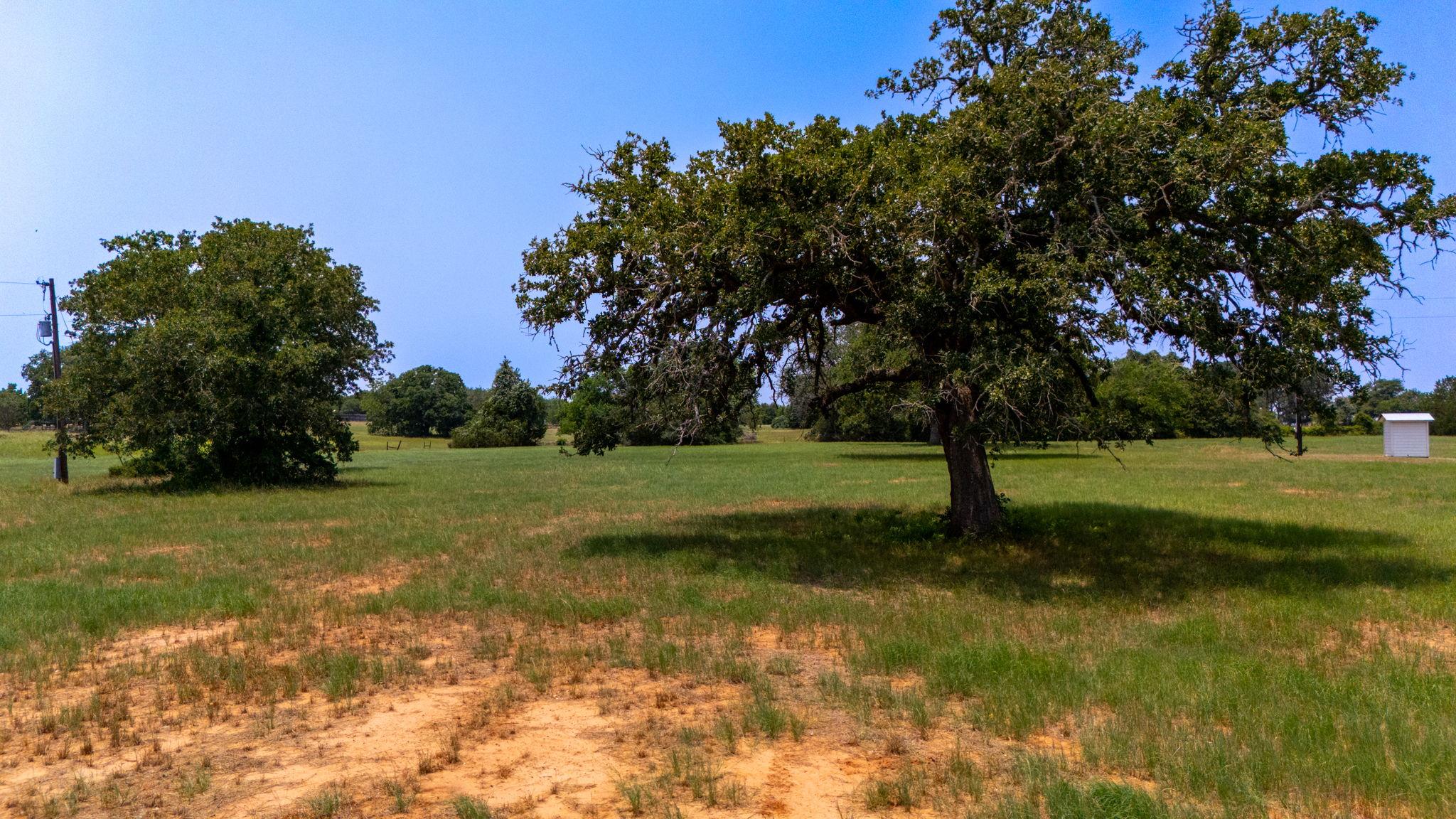 000 Cattlemens Row Rd, Lockhart, TX 78644