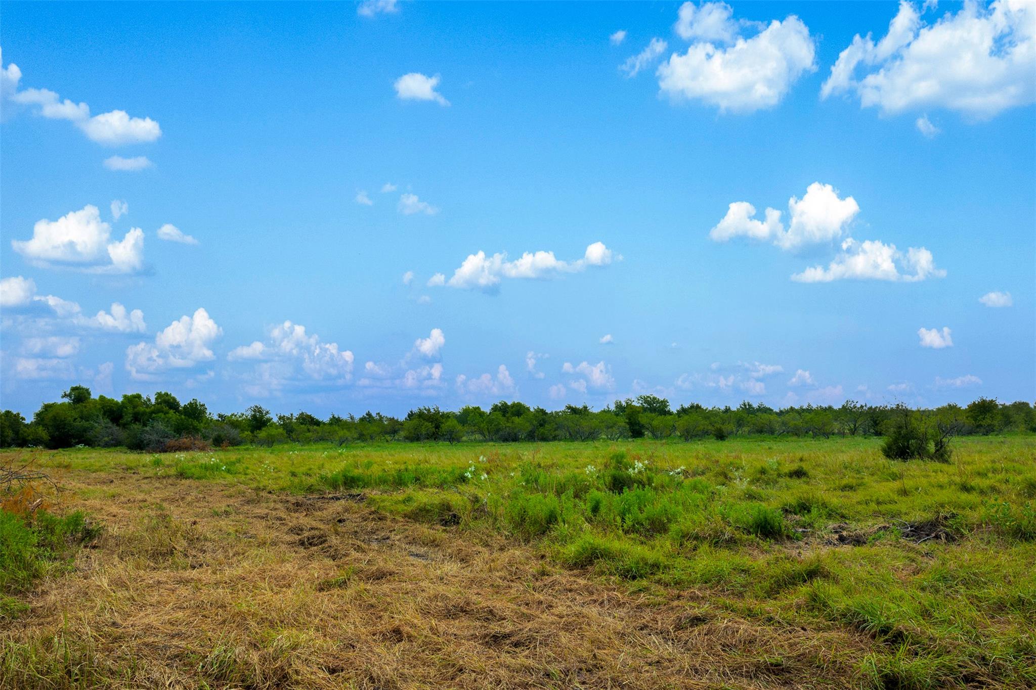 Tract 3 TBD LCR 392, Groesbeck, TX 76642