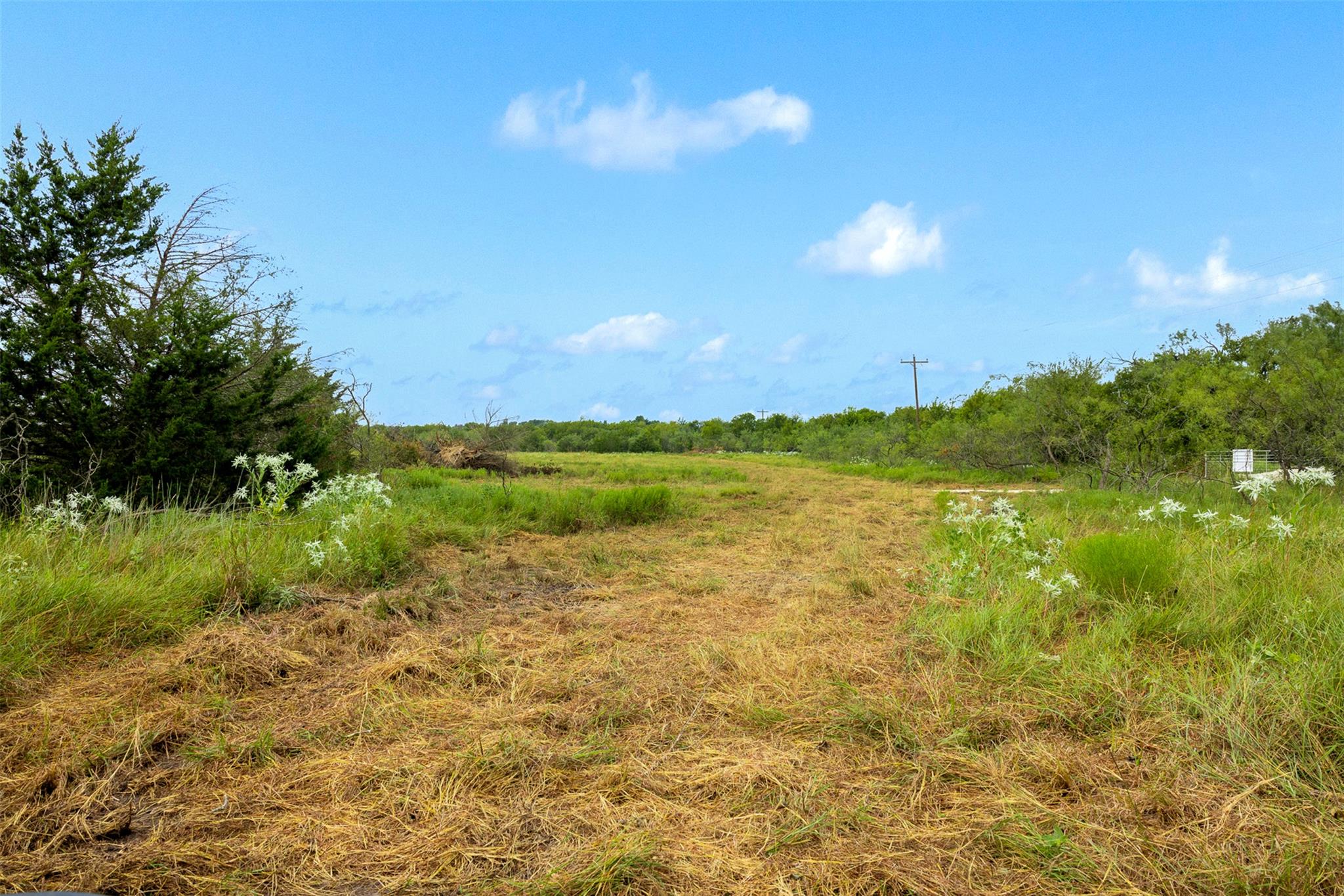 Tract 3 TBD LCR 392, Groesbeck, TX 76642