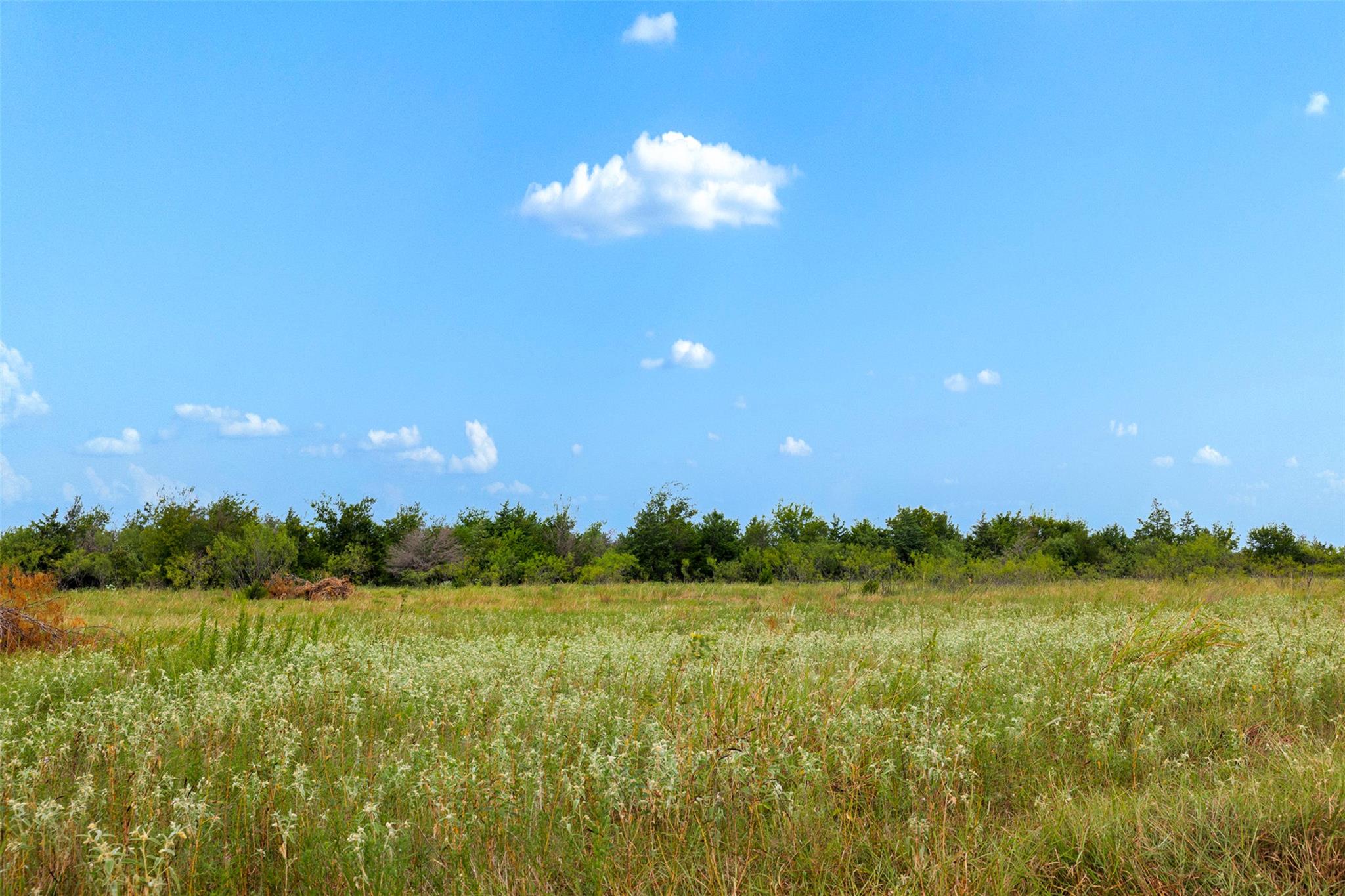 Tract 3 TBD LCR 392, Groesbeck, TX 76642