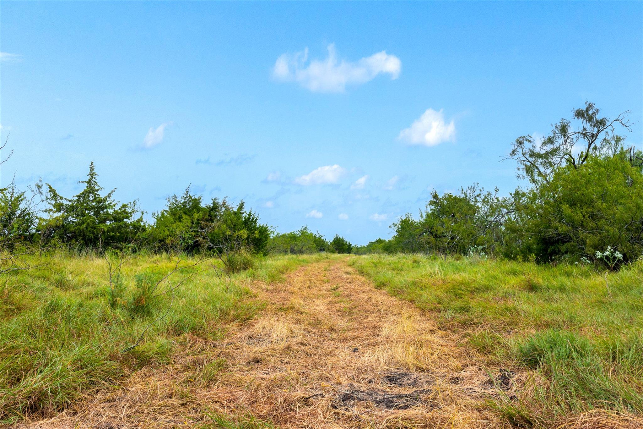 Tract 3 TBD LCR 392, Groesbeck, TX 76642