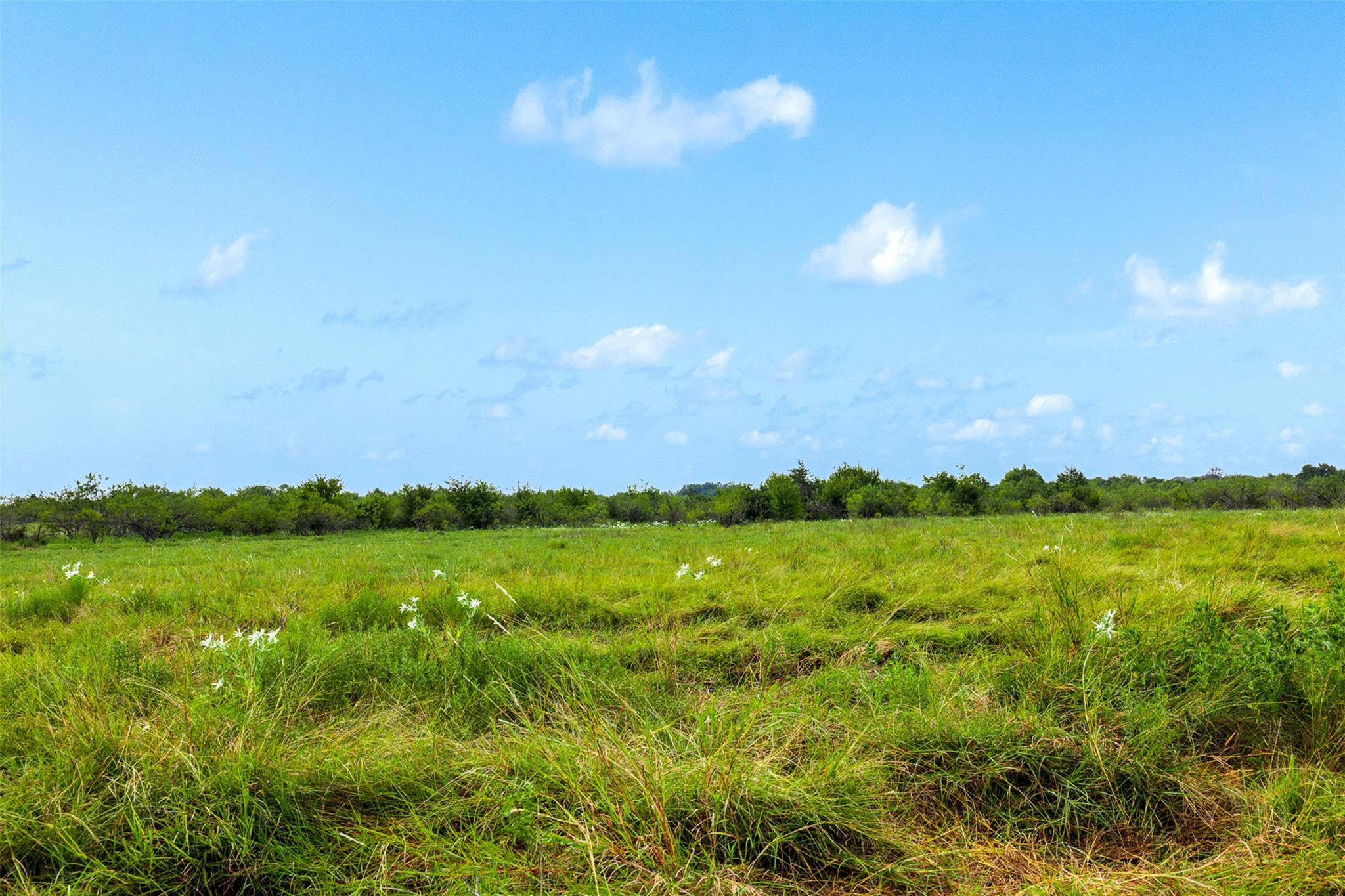 Tract 3 TBD LCR 392, Groesbeck, TX 76642