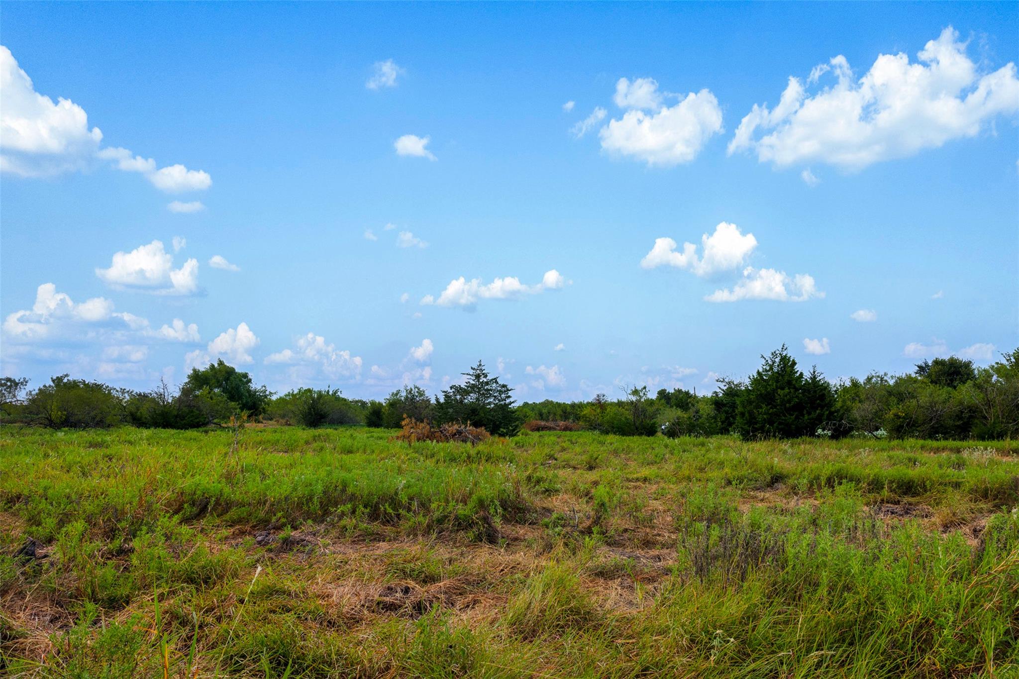 Tract 3 TBD LCR 392, Groesbeck, TX 76642