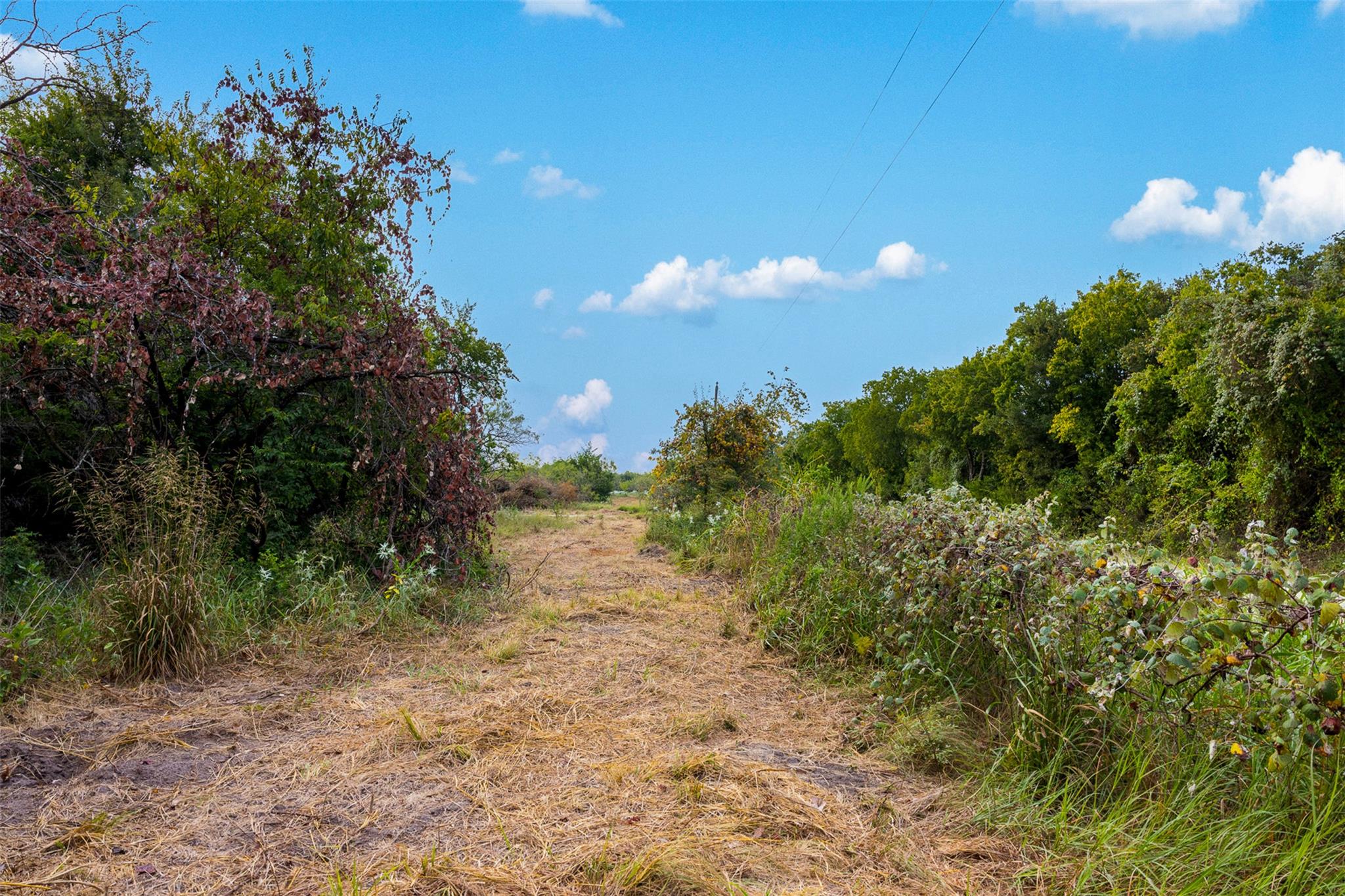 Tract 3 TBD LCR 392, Groesbeck, TX 76642