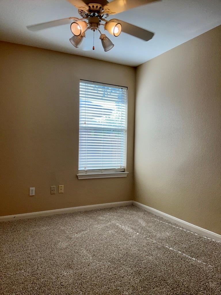 234 N Crossing Trl, Round Rock, TX 78665