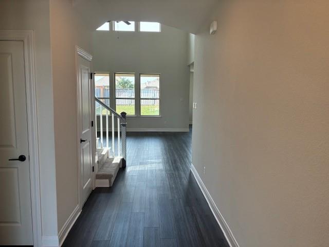 352 Grace Lilly Dr, Buda, TX 78610