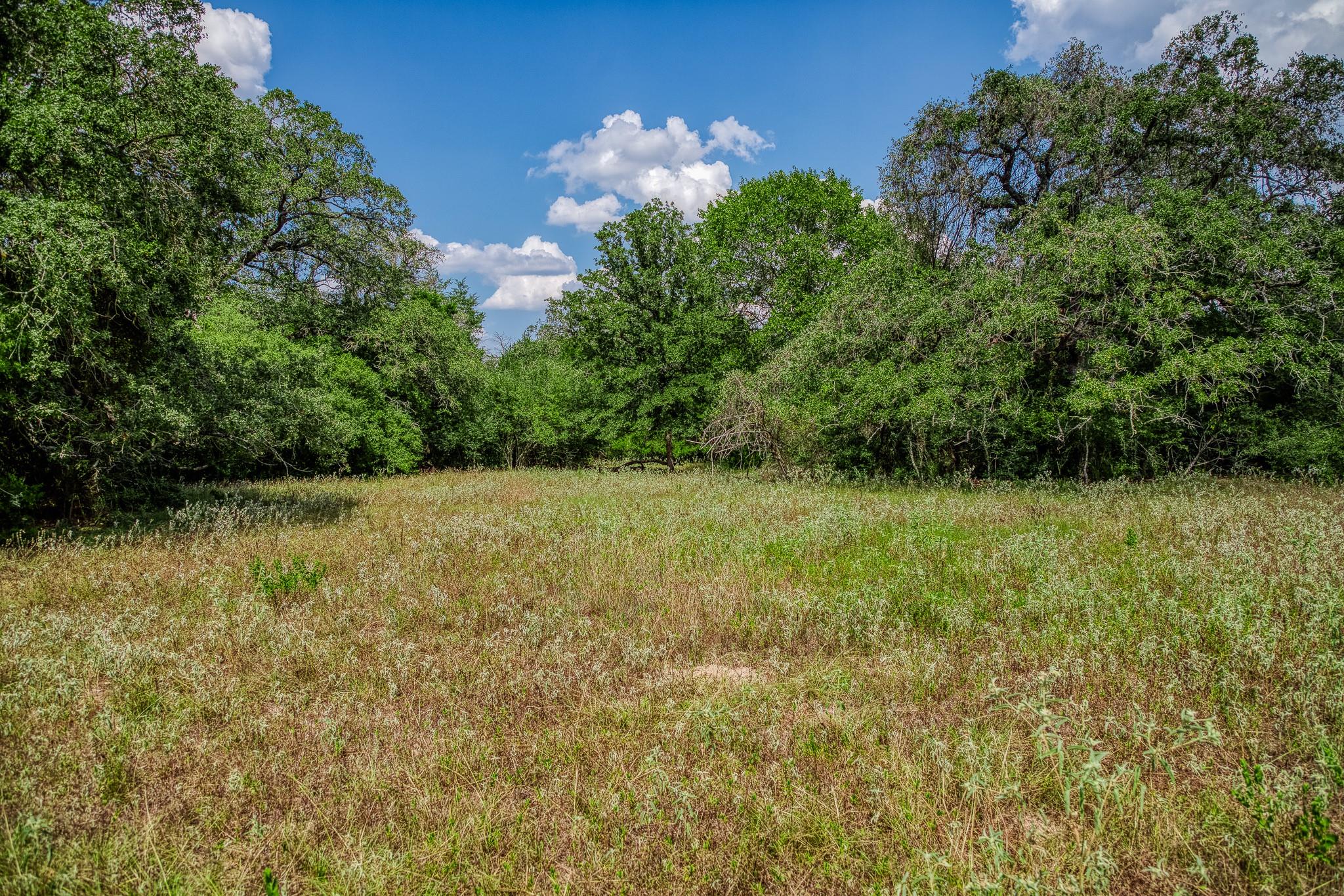 8595 County Road 324, Caldwell, TX 77836