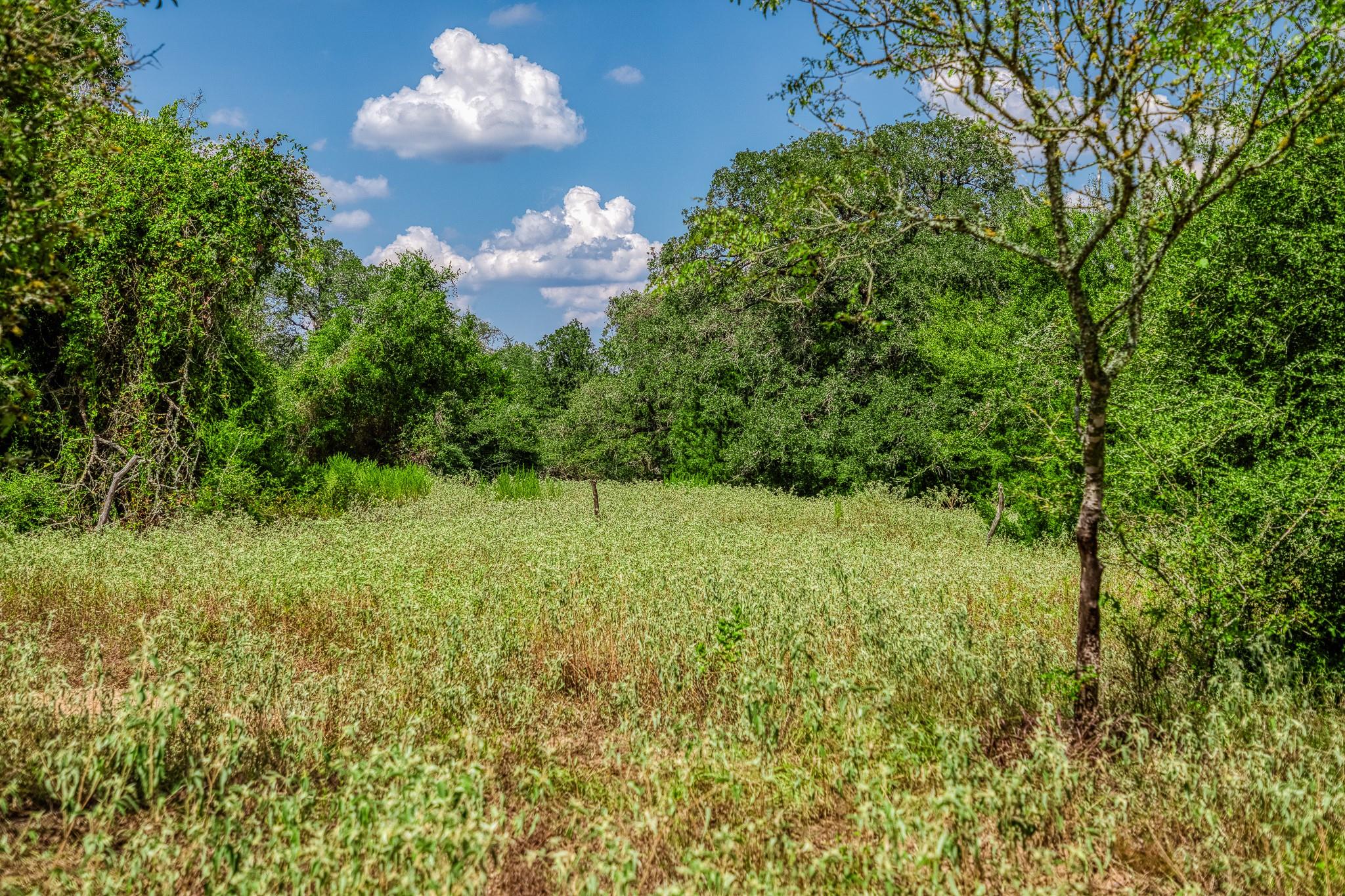 8595 County Road 324, Caldwell, TX 77836