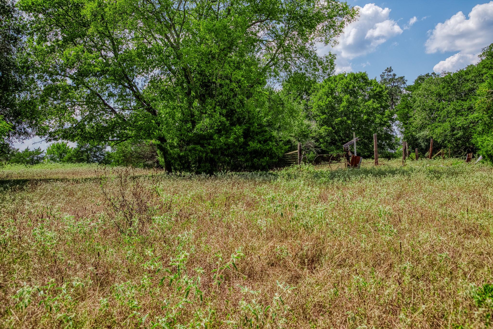 8595 County Road 324, Caldwell, TX 77836