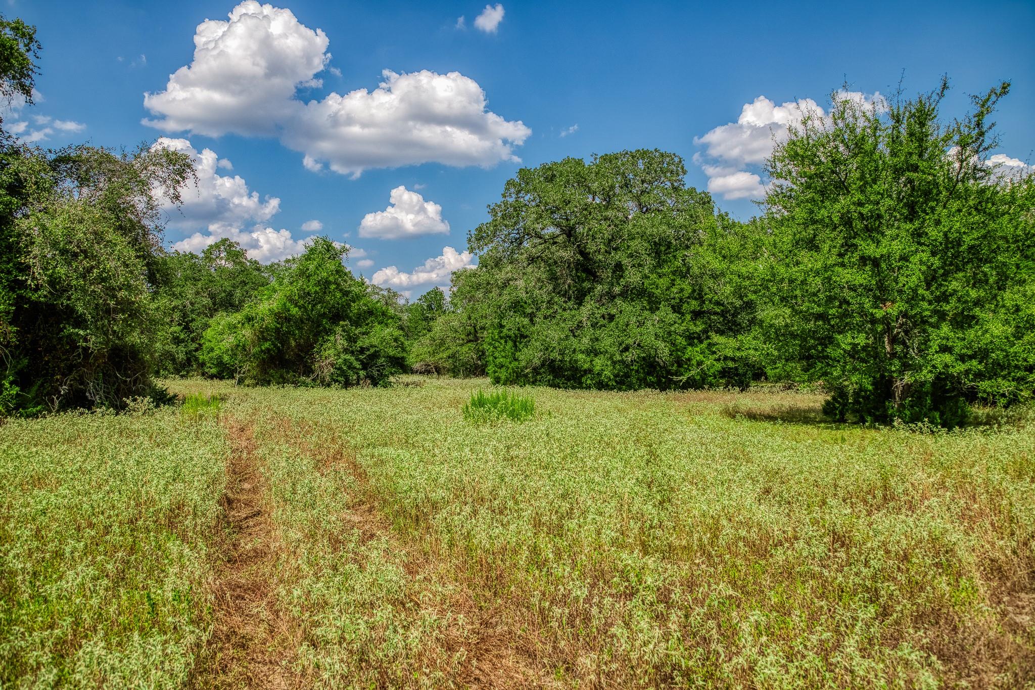 8595 County Road 324, Caldwell, TX 77836
