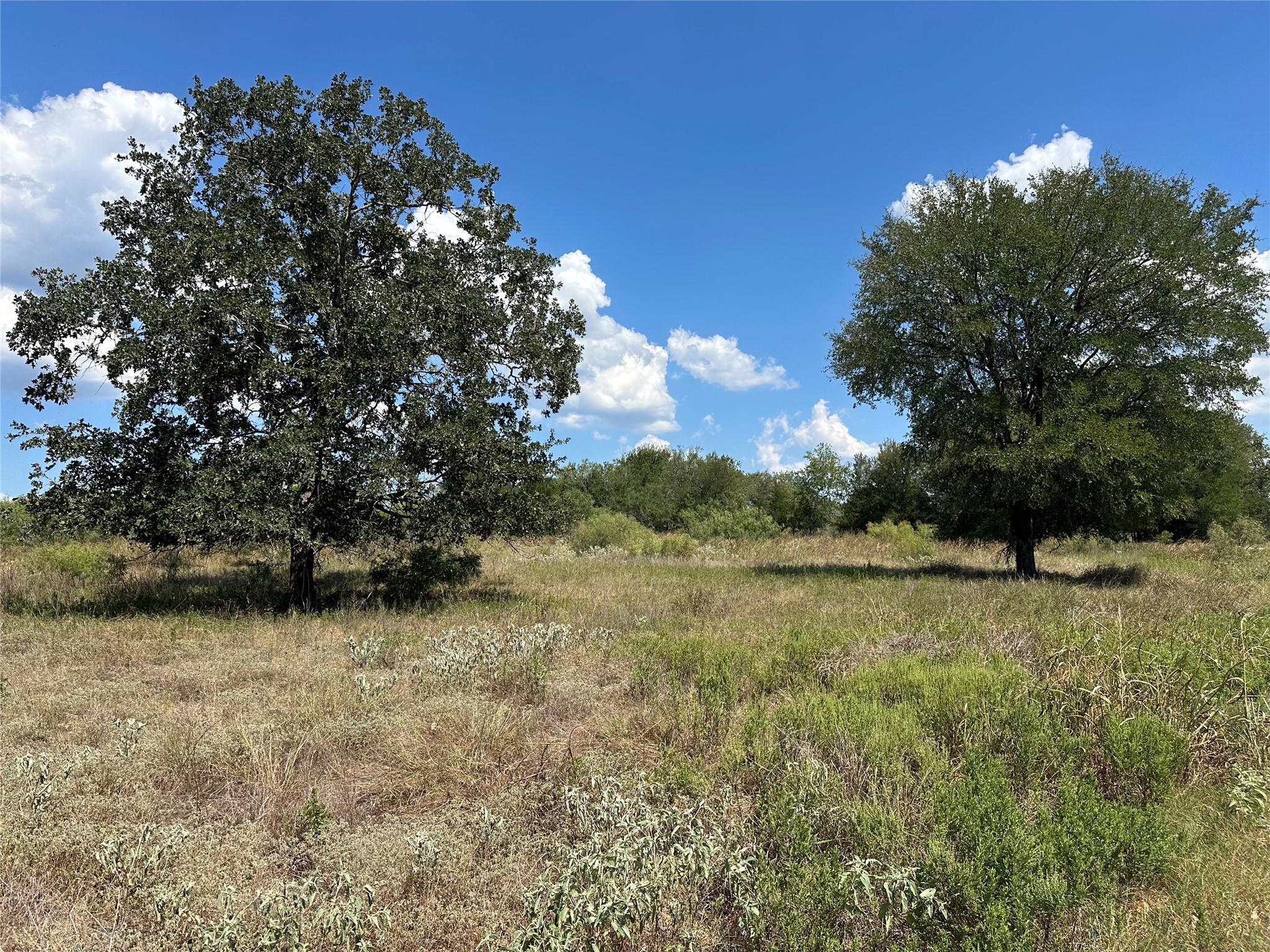 000 Black Jack Ln, Bastrop, TX 78602