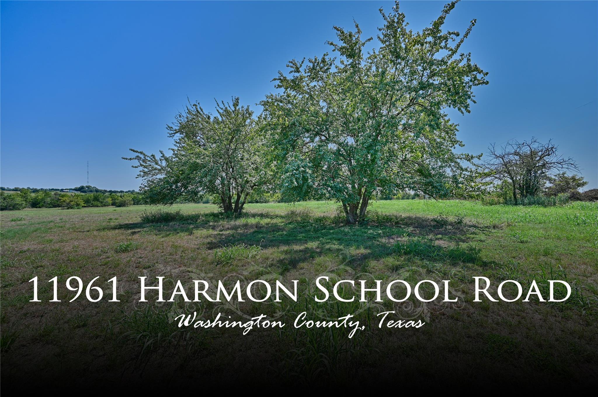 11961 Harmon School Rd, Burton, TX 77835
