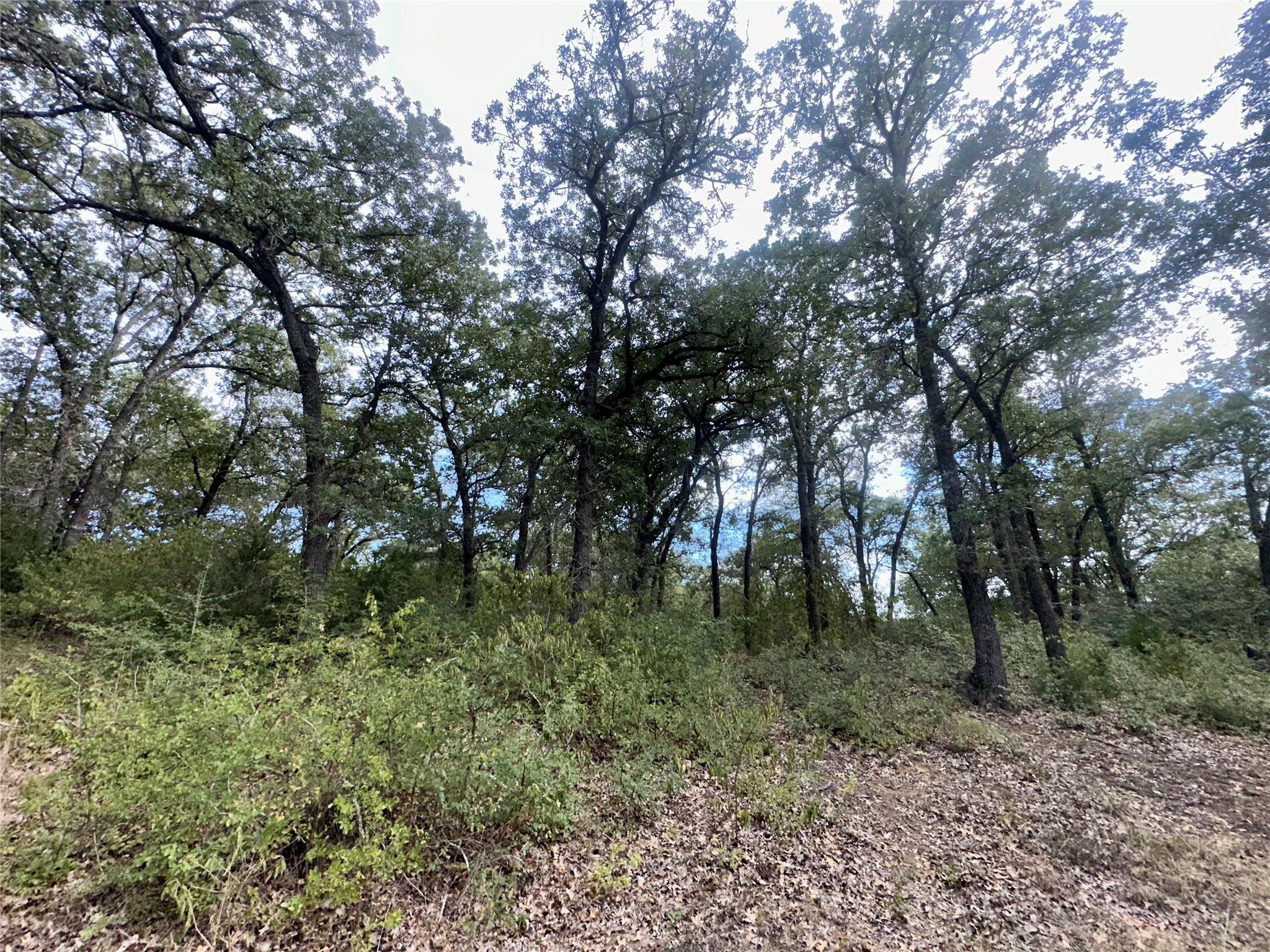 109 Wayside Dr, Elgin, TX 78621