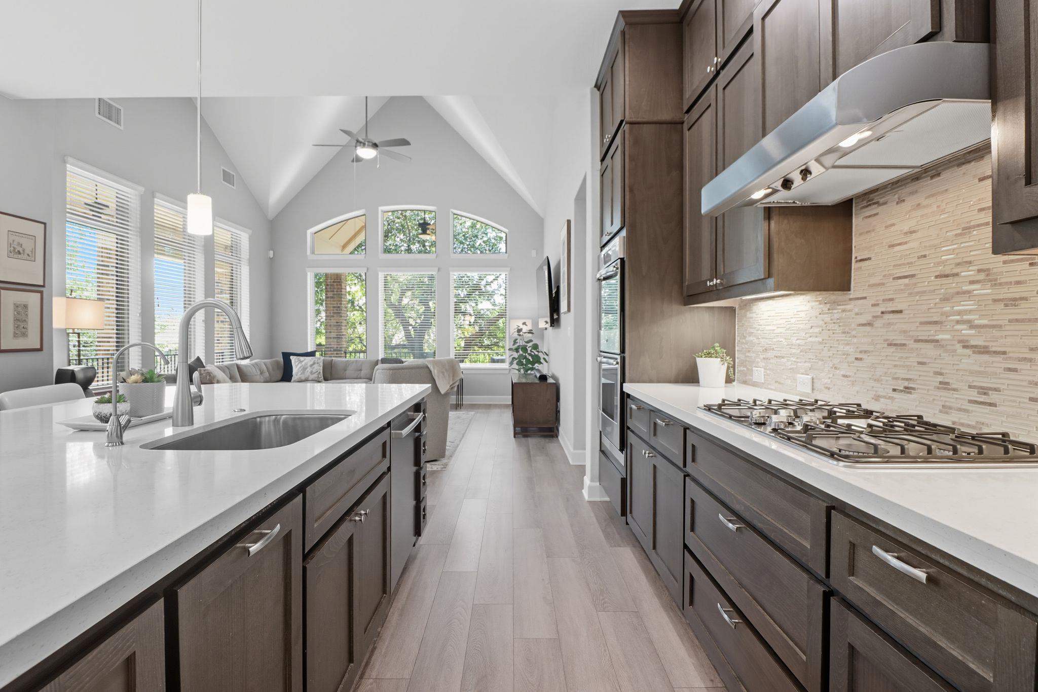 15609 Cinca Terra Dr, Austin, TX 78738