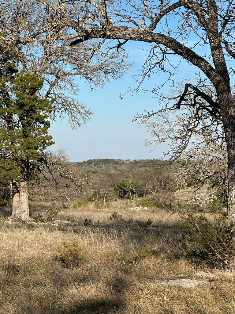 Lot 59 Cliff View, Harper, TX 78631