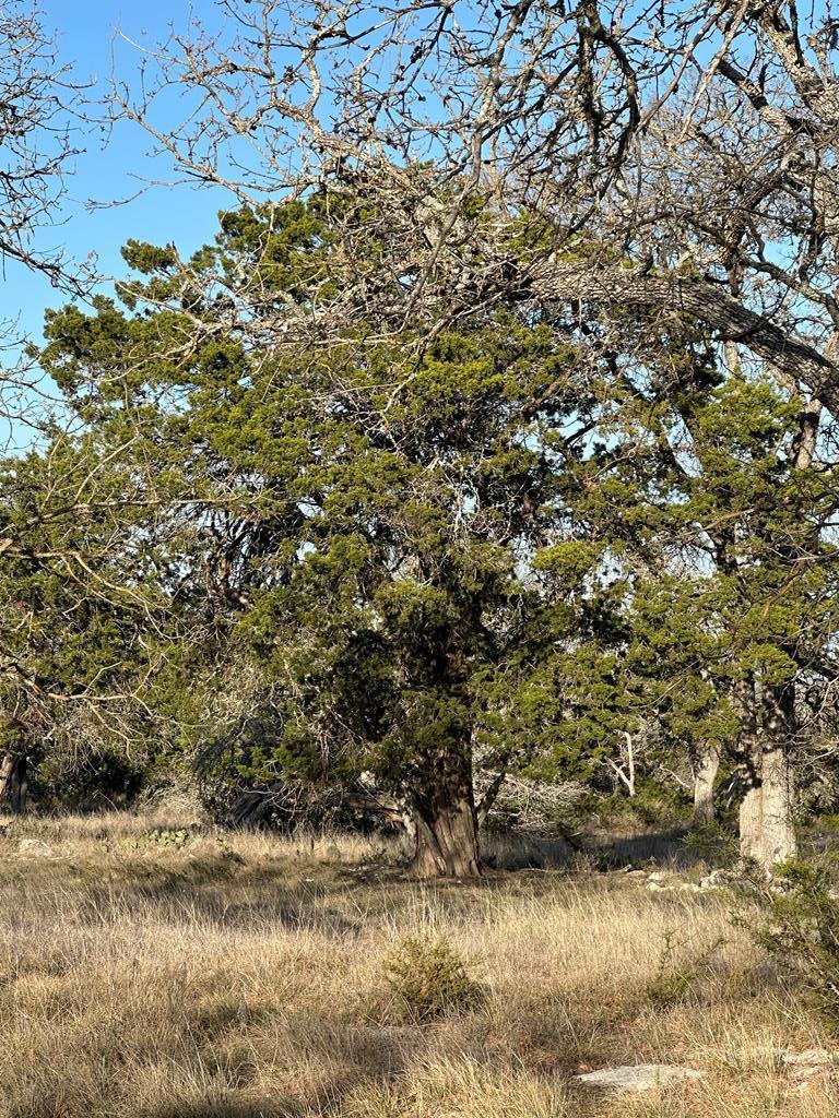 Lot 59 Cliff View, Harper, TX 78631