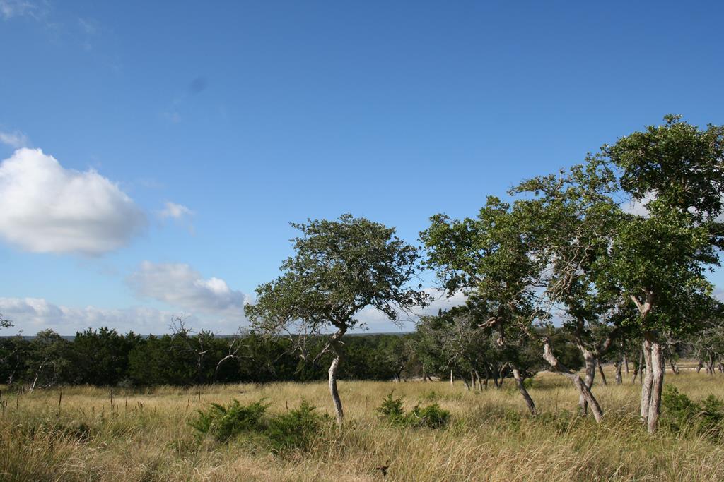 Lot 3 Oakwater Dr, Fredericksburg, TX 78624