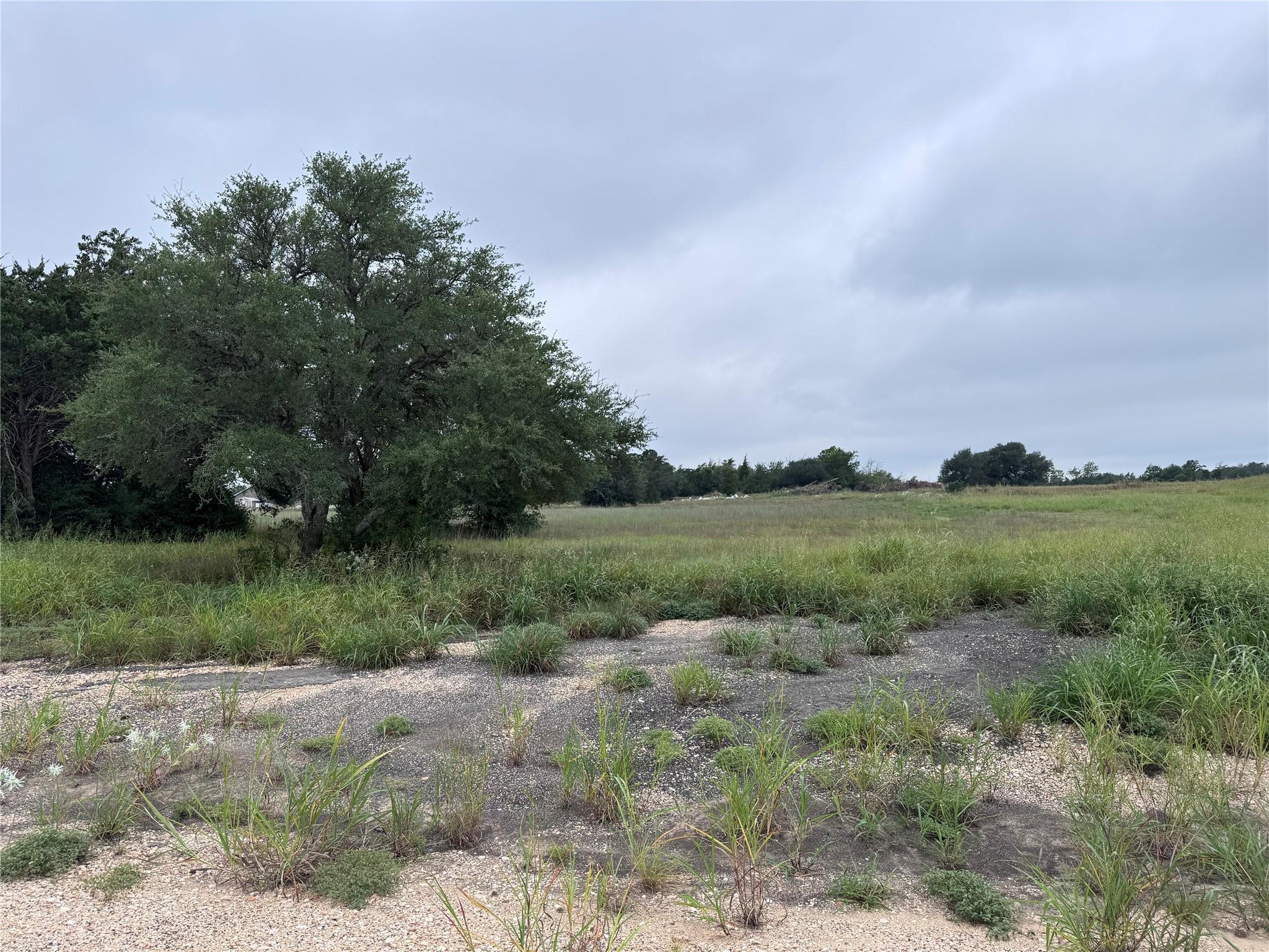 109 Compound Ln, Round Top, TX 78954