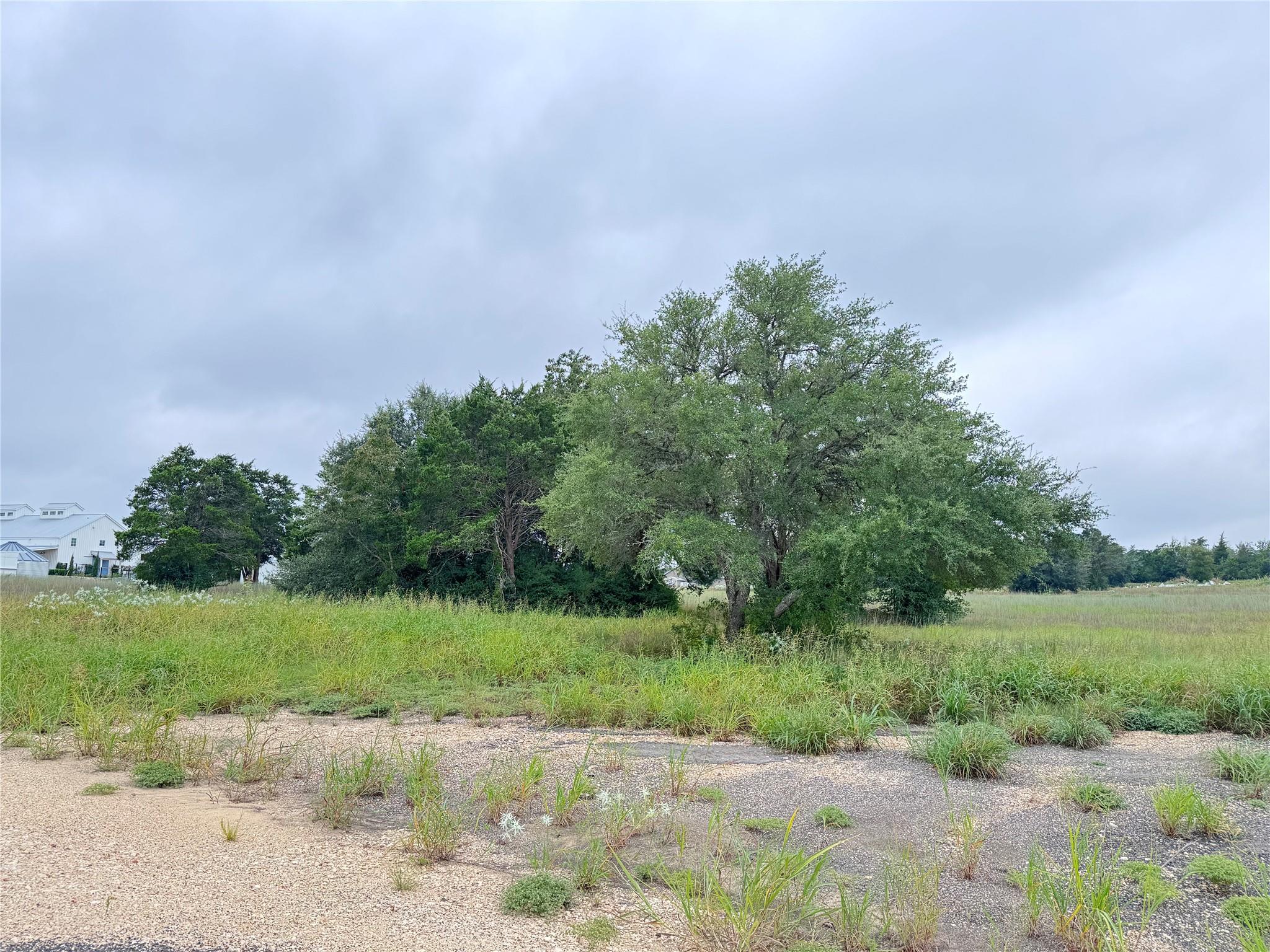 109 Compound Ln, Round Top, TX 78954