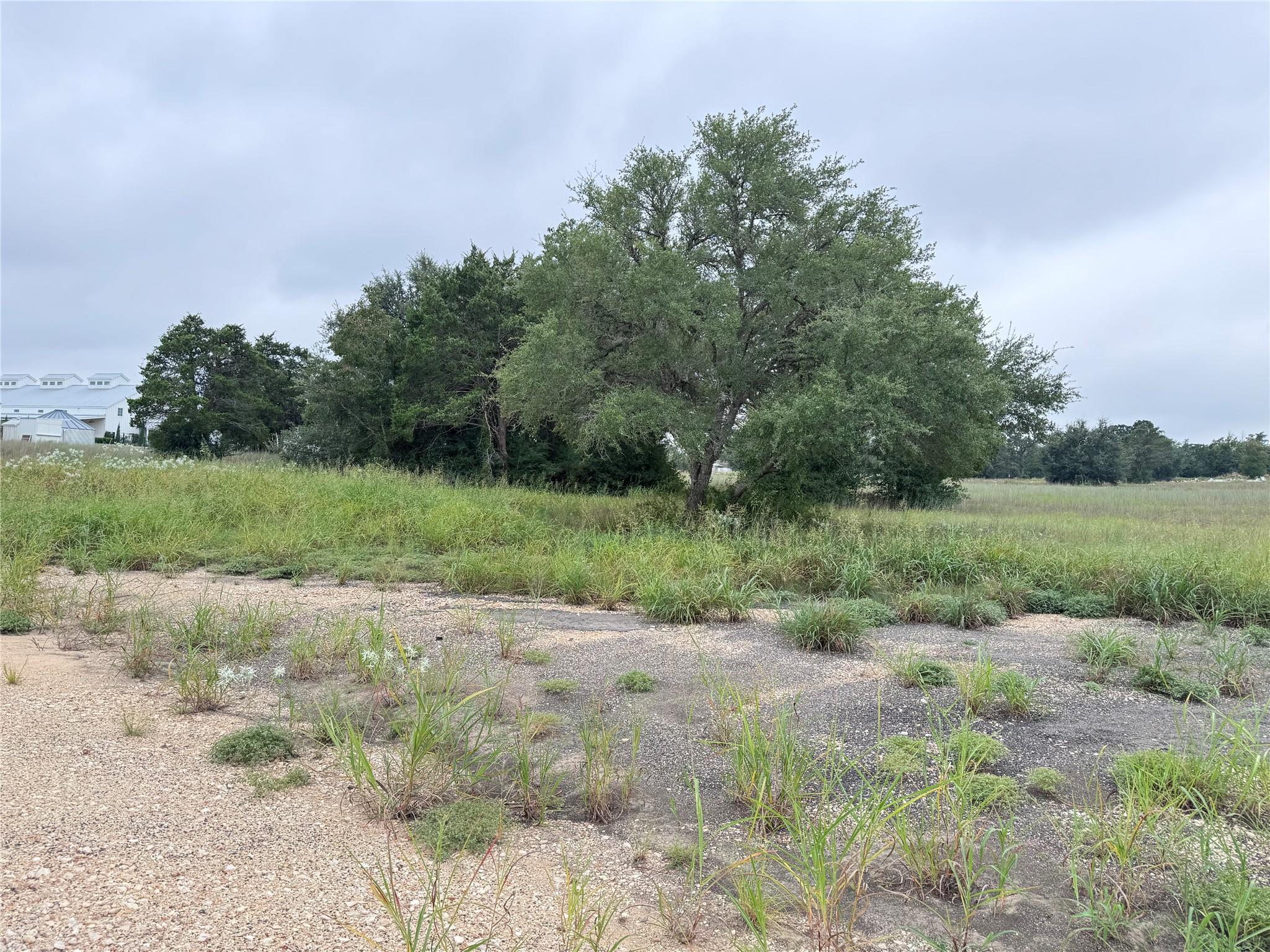 109 Compound Ln, Round Top, TX 78954