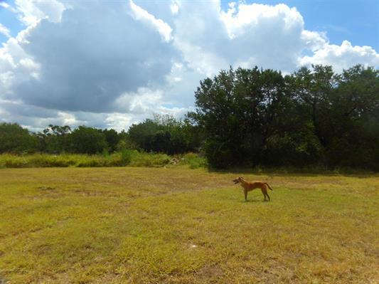 155 Cherry Ridge, Burnet, TX 78611