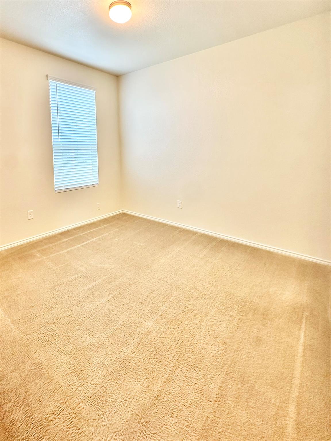 339 Mistflower, New Braunfels, TX 78130