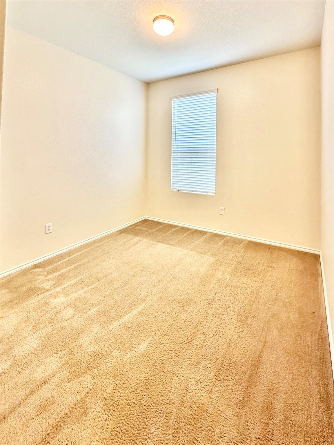 339 Mistflower, New Braunfels, TX 78130