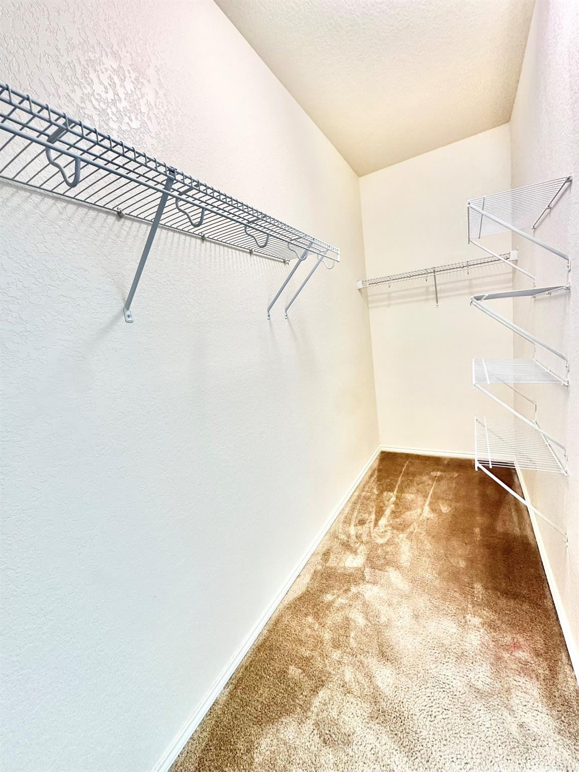 339 Mistflower, New Braunfels, TX 78130