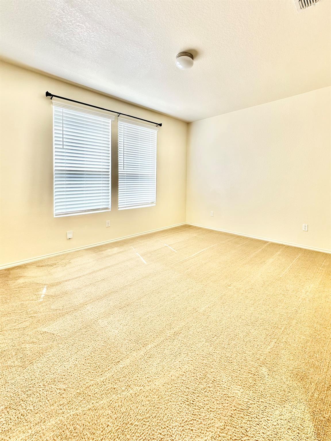 339 Mistflower, New Braunfels, TX 78130