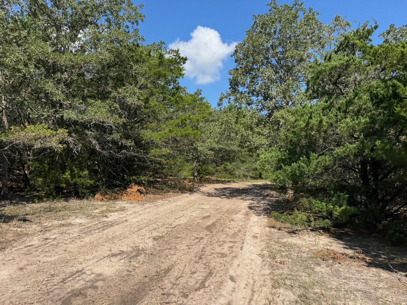 13115 Schoenemann Rd, Carmine, TX 78932