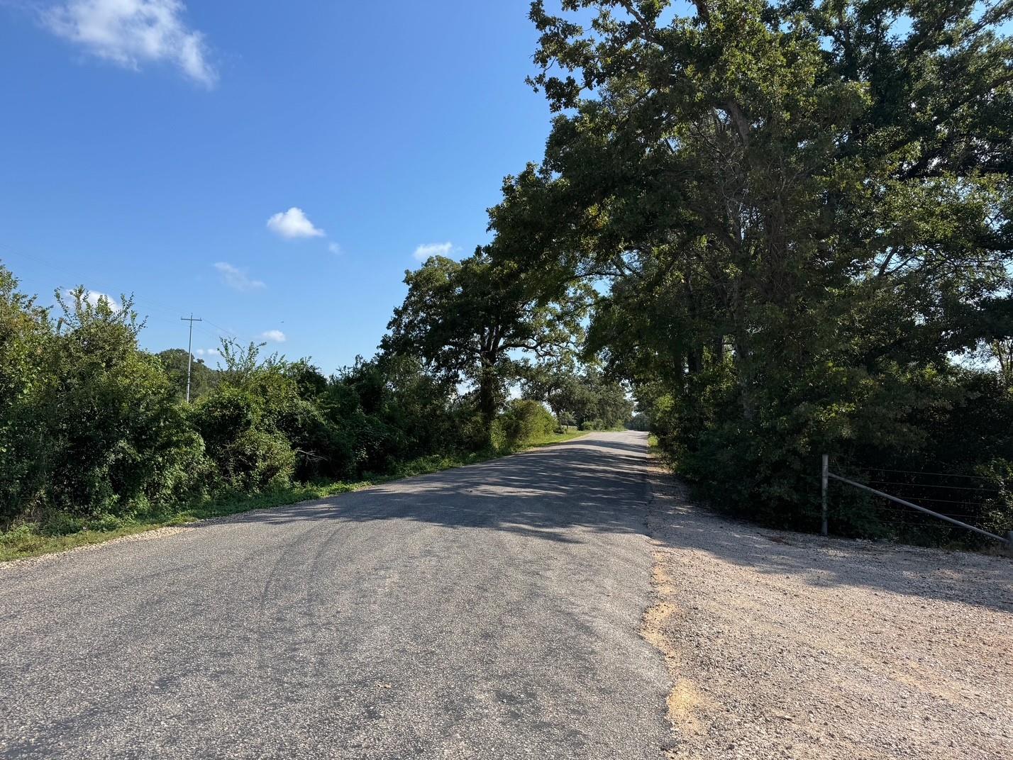 13115 Schoenemann Rd, Carmine, TX 78932