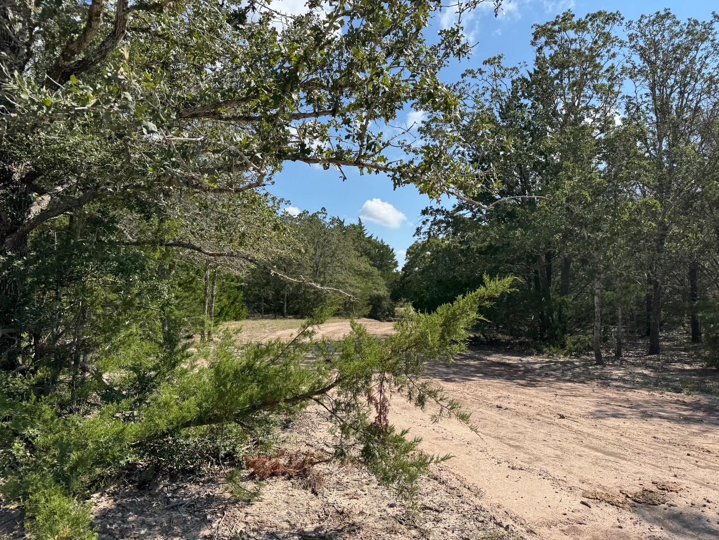 13115 Schoenemann Rd, Carmine, TX 78932