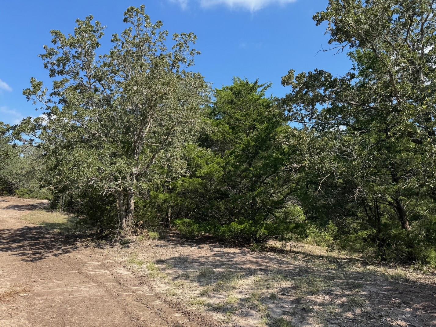 13115 Schoenemann Rd, Carmine, TX 78932