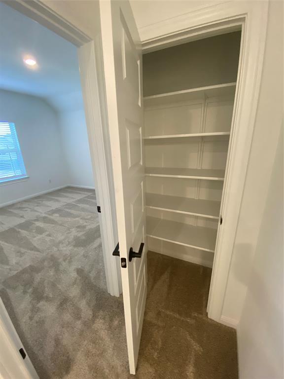 1012 Olinda Ct, Liberty Hill, TX 78642