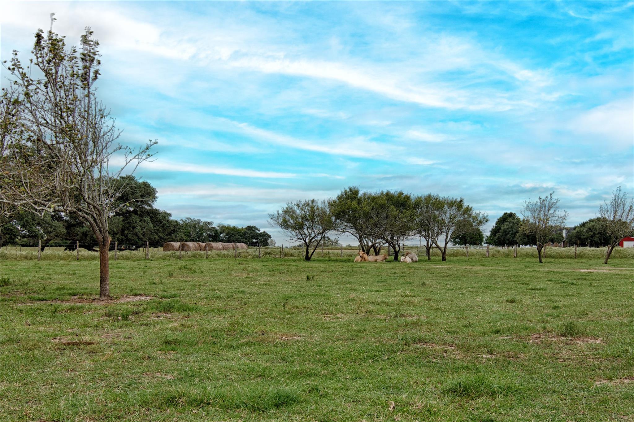 341 CR 233, Hallettsville, TX 77964