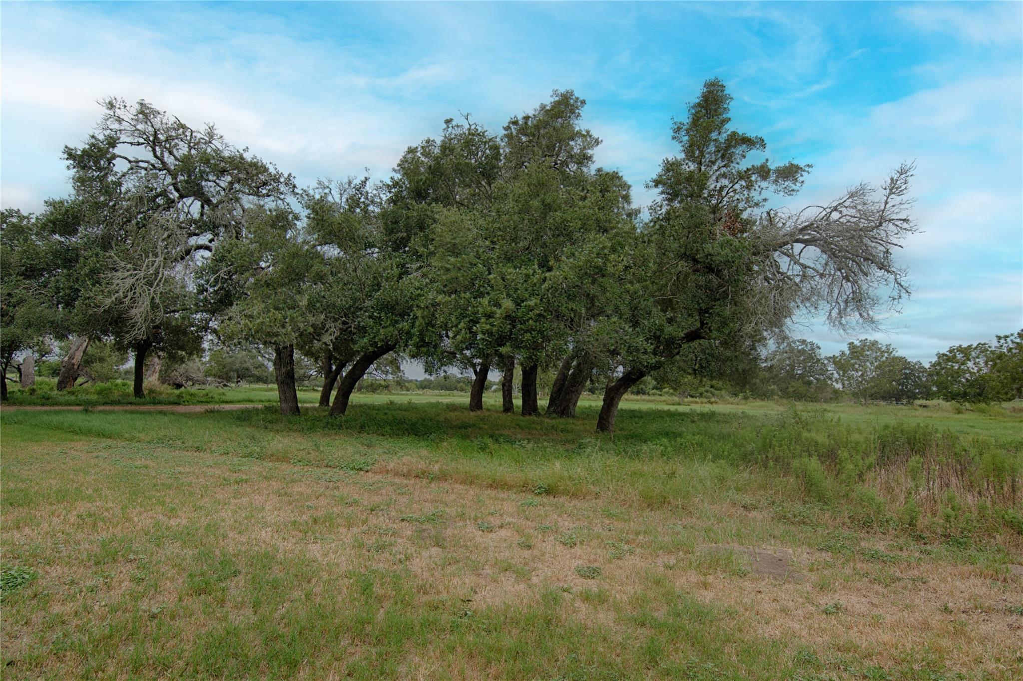 341 CR 233, Hallettsville, TX 77964