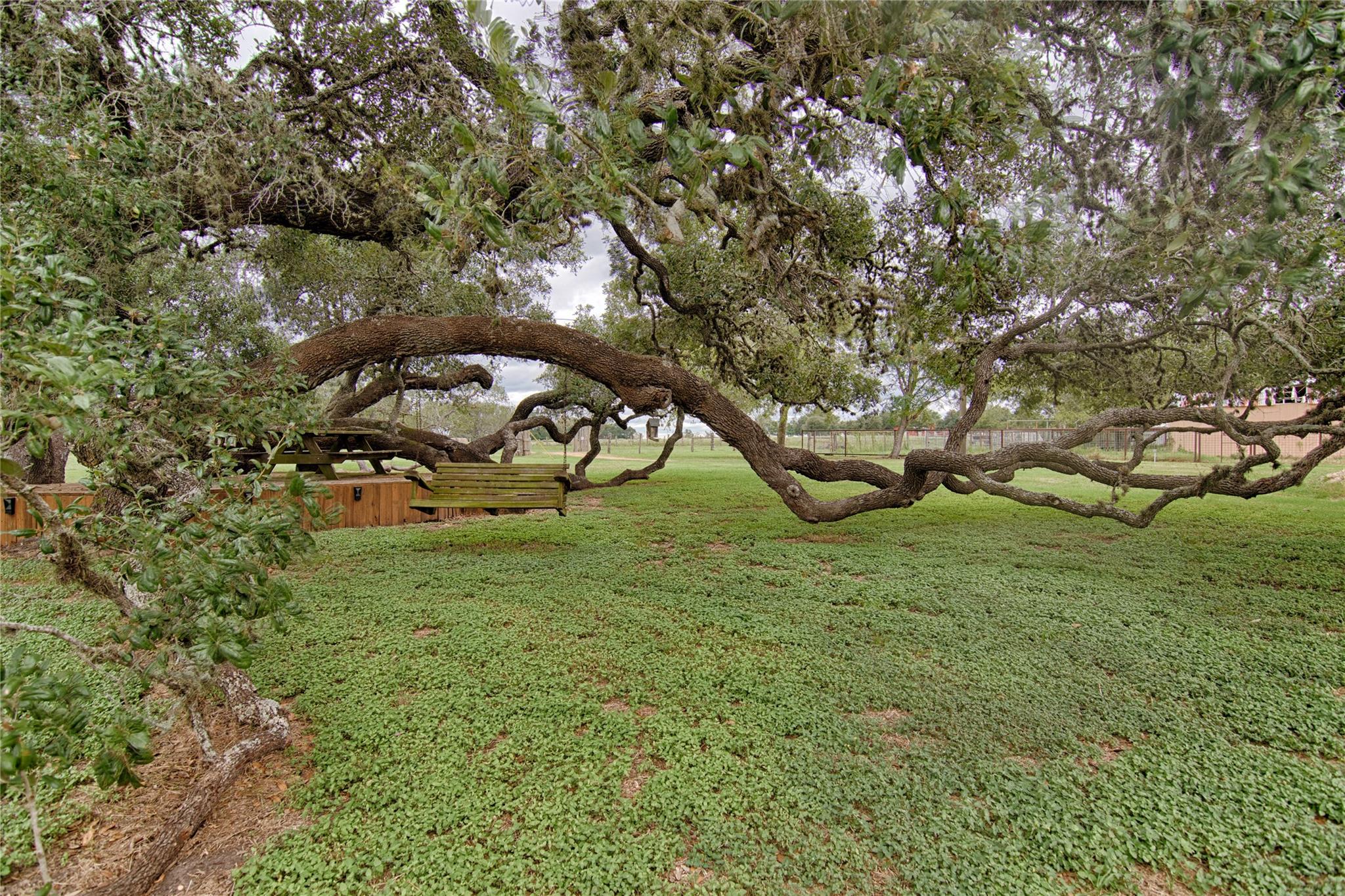 341 CR 233, Hallettsville, TX 77964