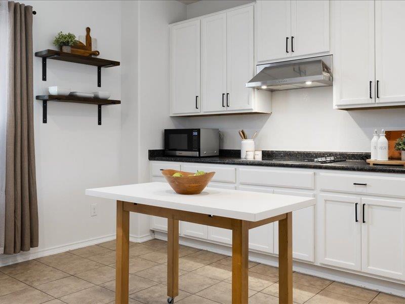 18817 Star Gazer Way, Pflugerville, TX 78660