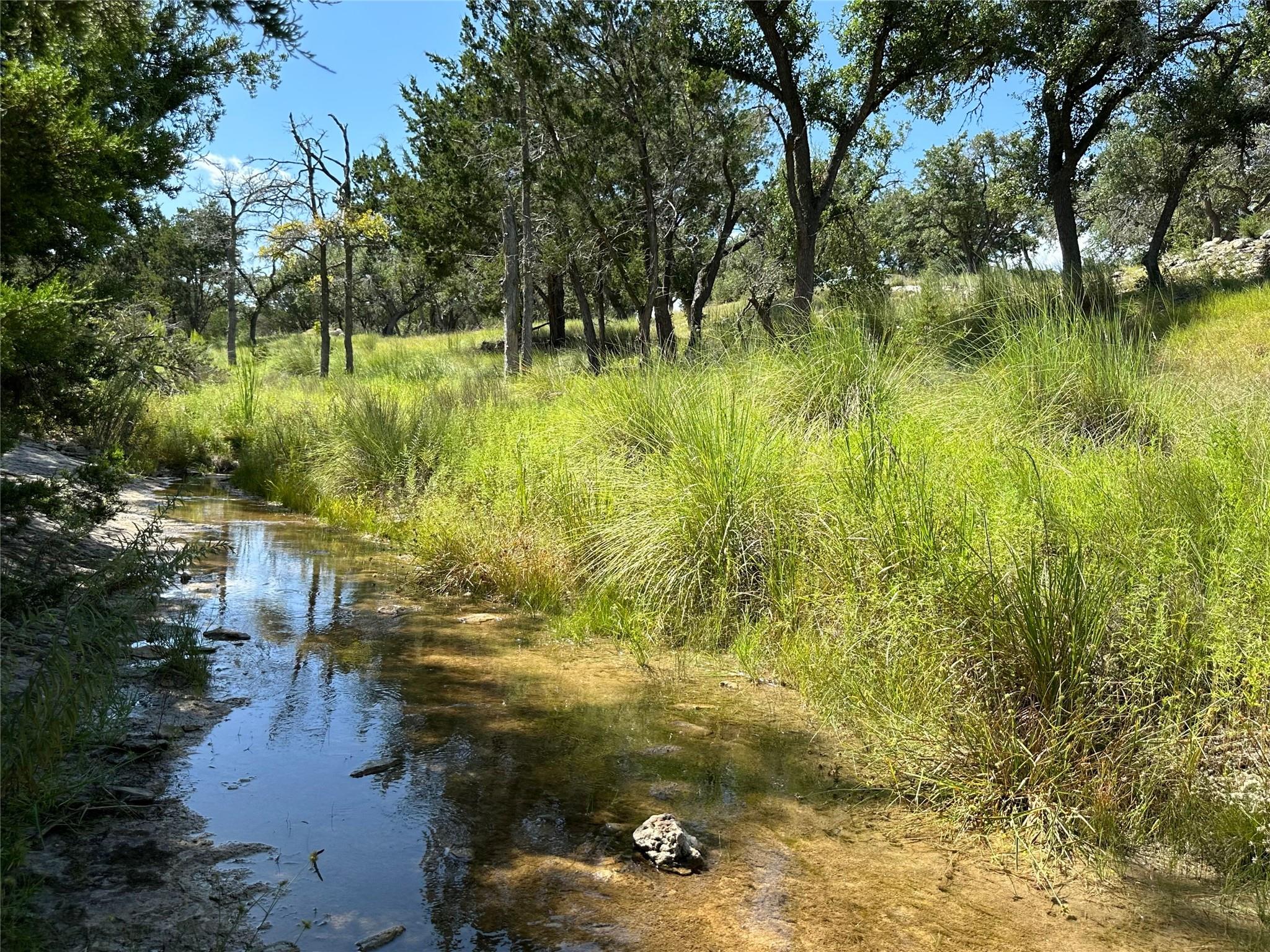 00 Redemption Ave, Dripping Springs, TX 78620