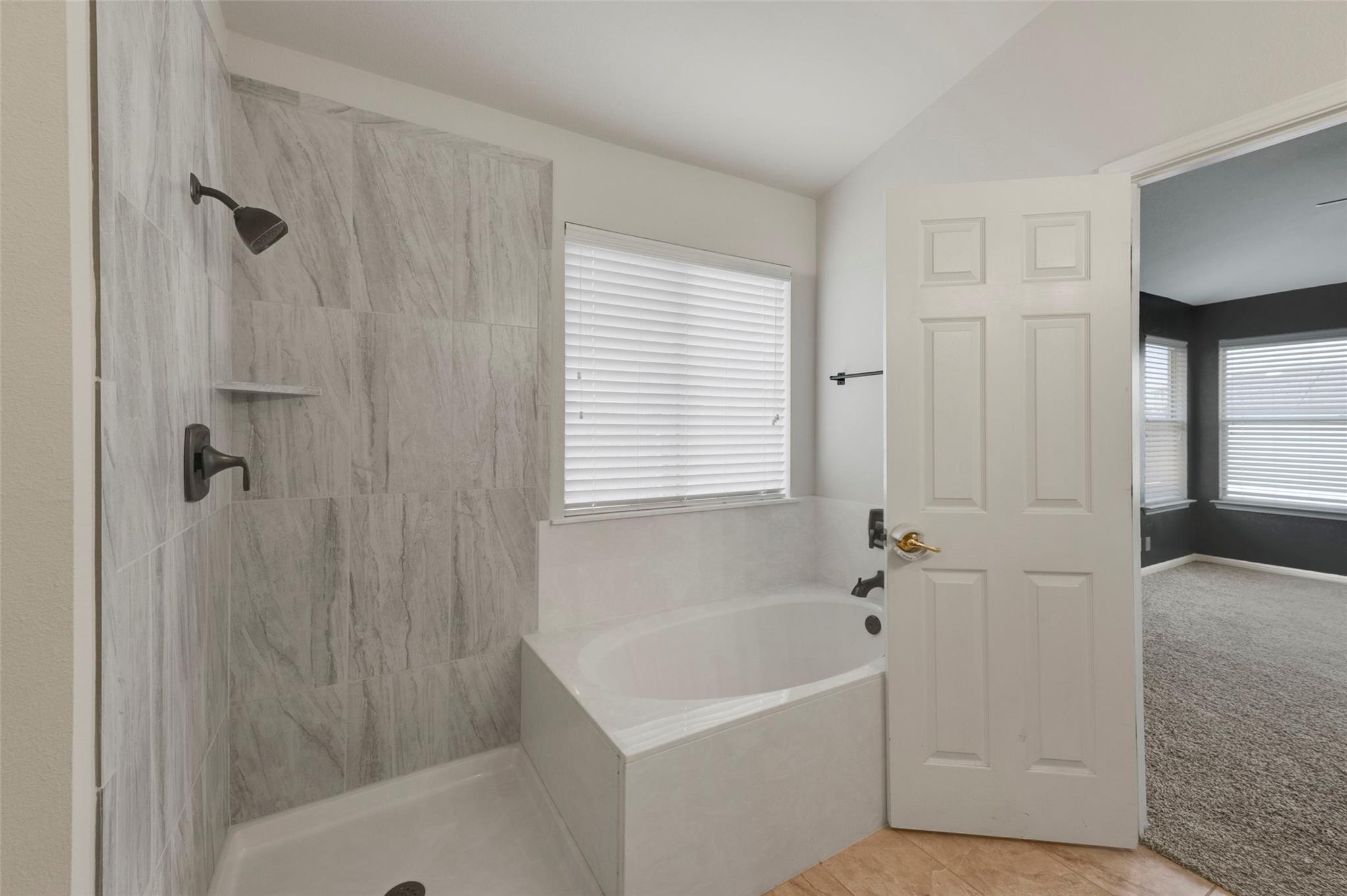 14316 Pebble Run Path, Manor, TX 78653