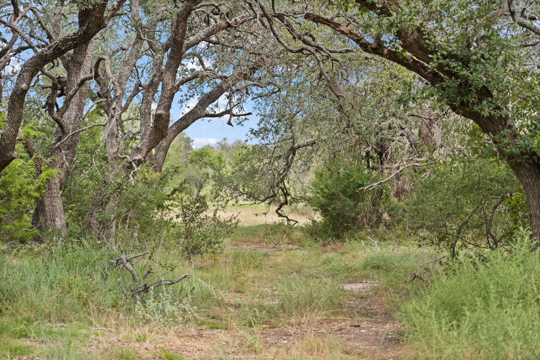 1019 Fm 3509, Burnet, TX 78611