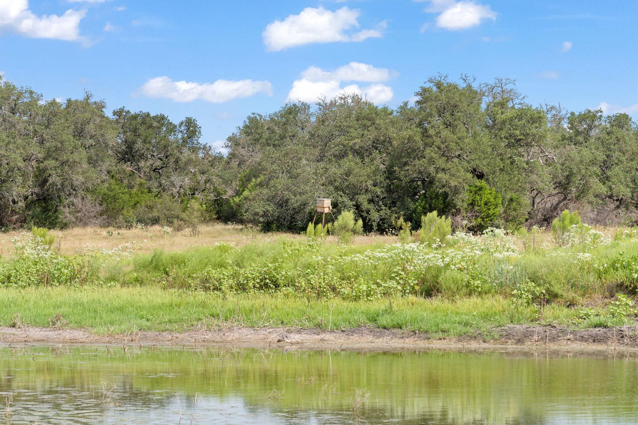 1019 Fm 3509, Burnet, TX 78611