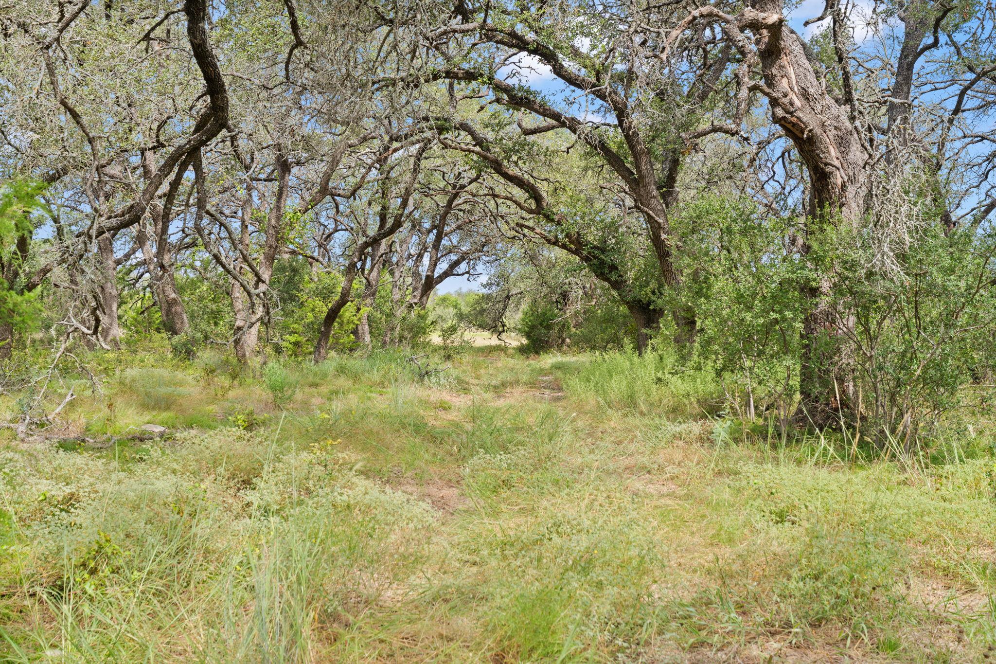 1019 Fm 3509, Burnet, TX 78611