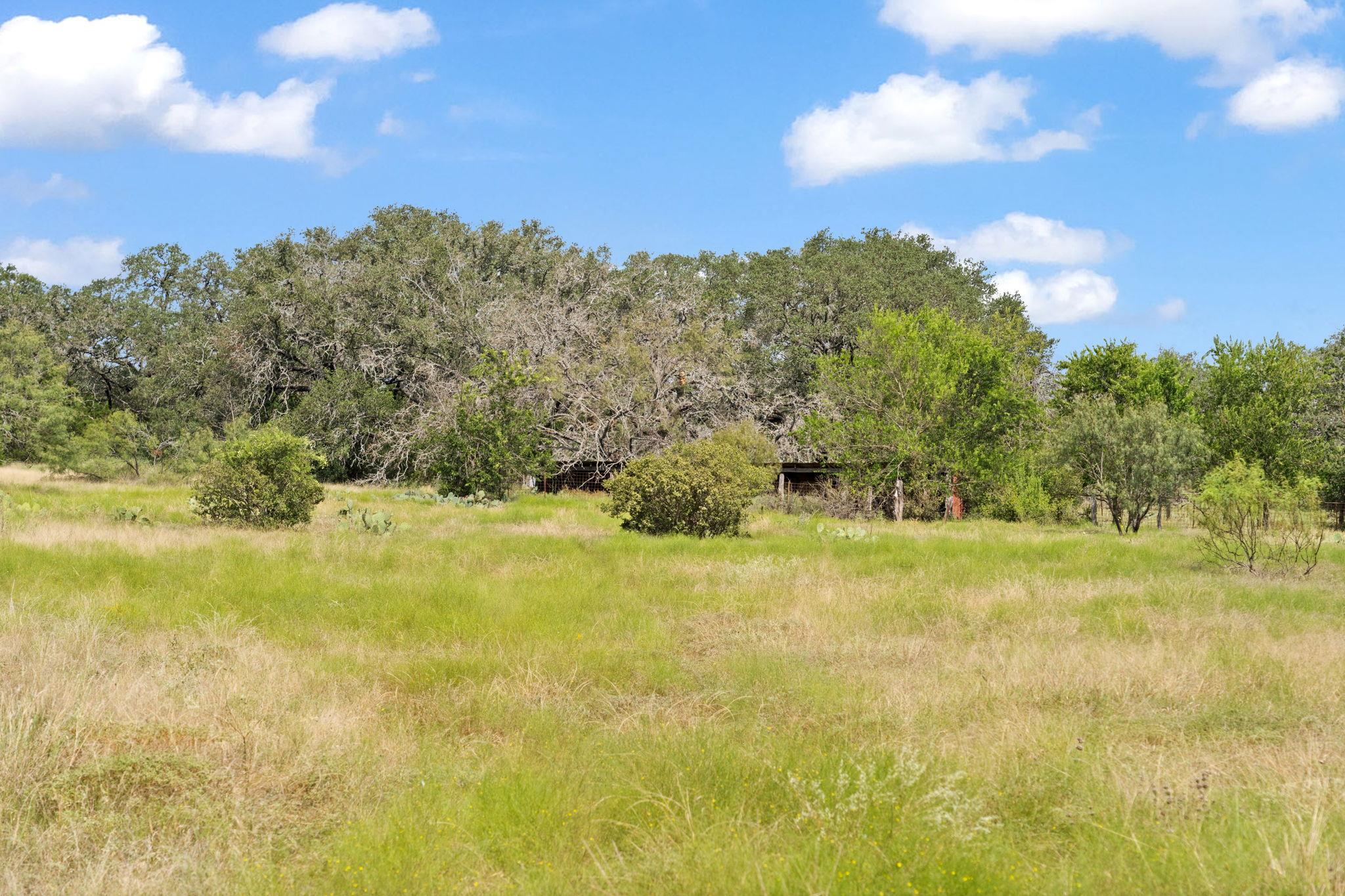 1019 Fm 3509, Burnet, TX 78611