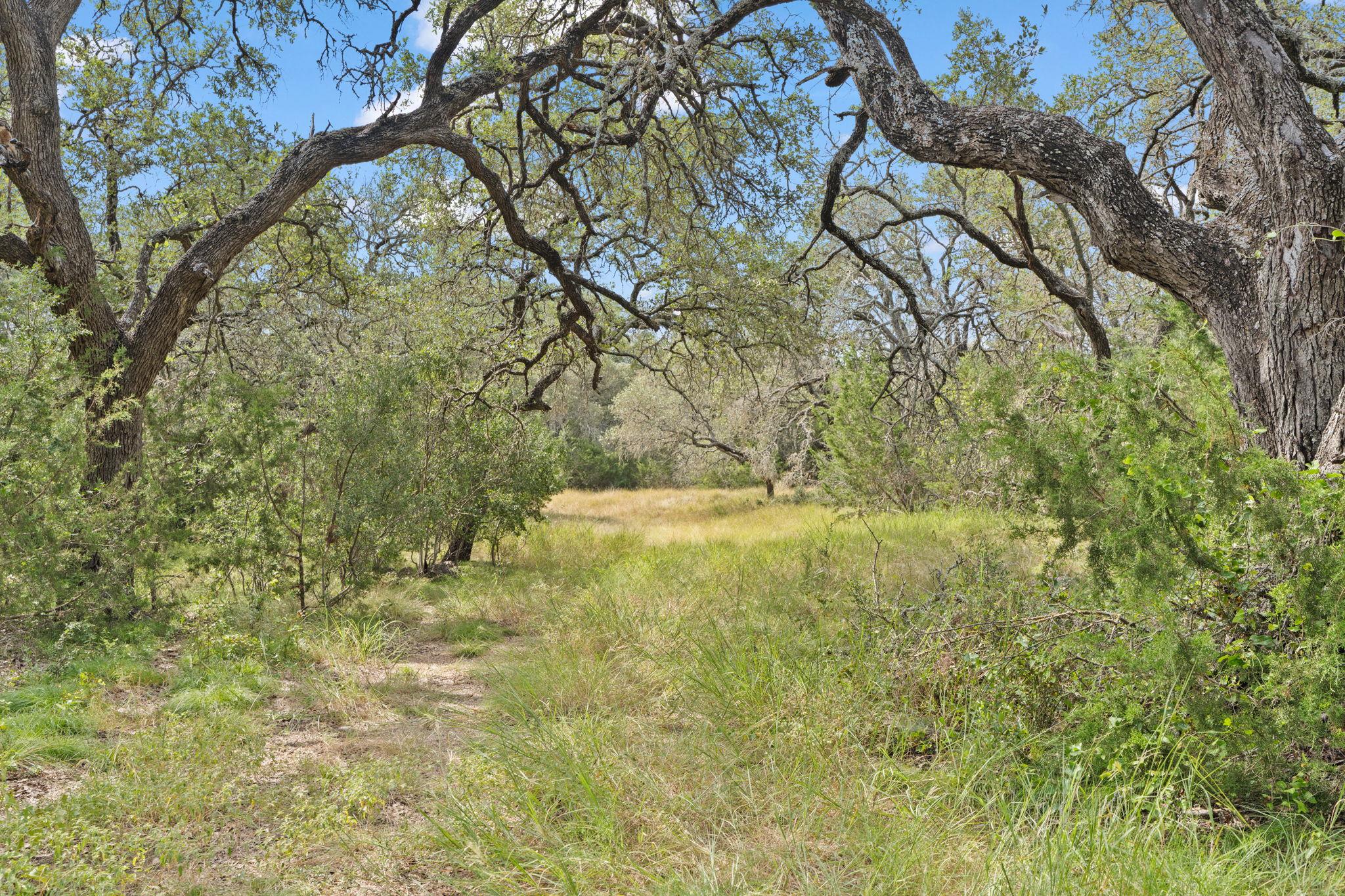 1019 Fm 3509, Burnet, TX 78611